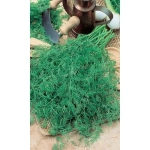 Семена Укроп Супердукат ОЕ (Марс) Б/П