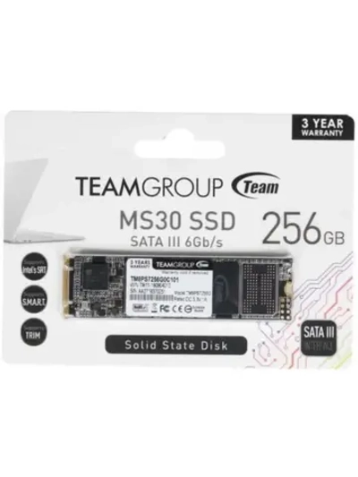 256 ГБ M.2 SSD накопитель MS30 TM8PS7256G0C101