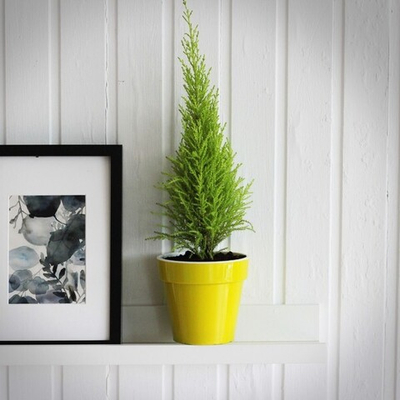 Кашпо для цветов пластиковое 9л d-27,5см «Порто» со вставкой жемчуг