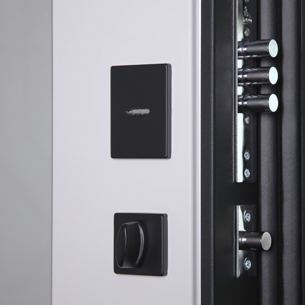 Стальная дверь "Loft" с зеркалом (адаптивная замковая часть).