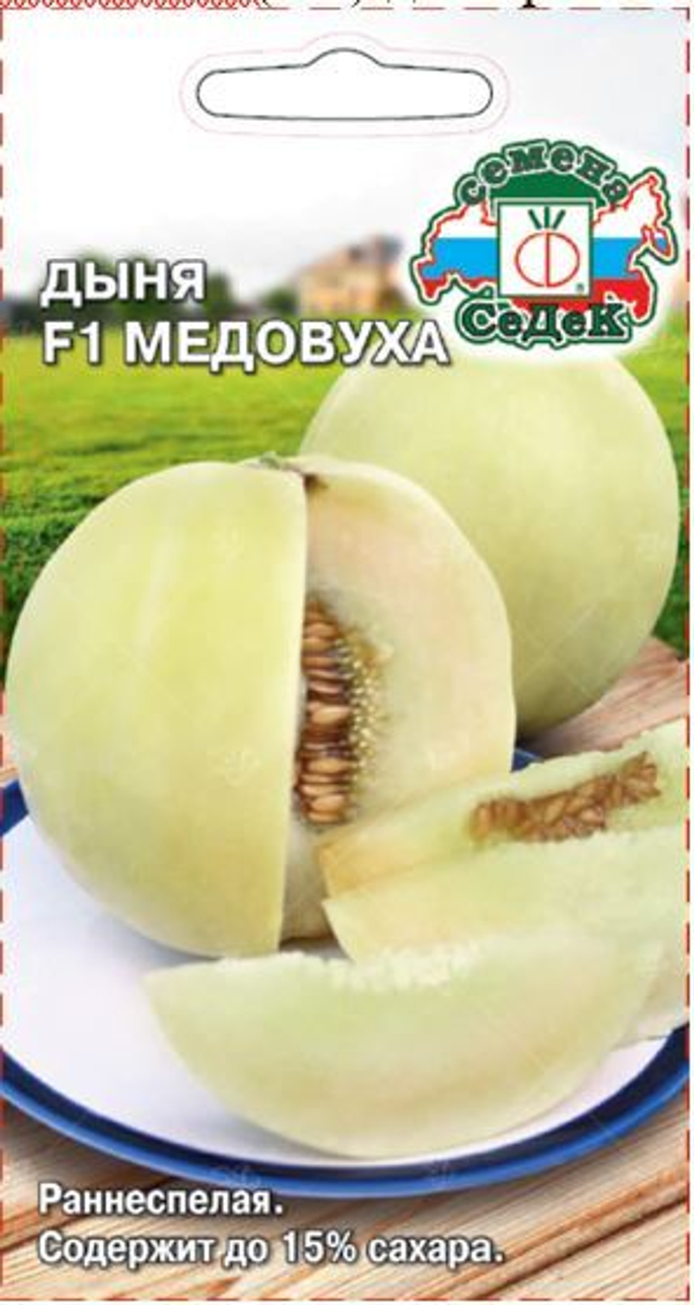 Дыня Медовуха F1 Седек