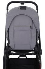 Детская коляска Rant Flex 3 в 1 RA077 Grey