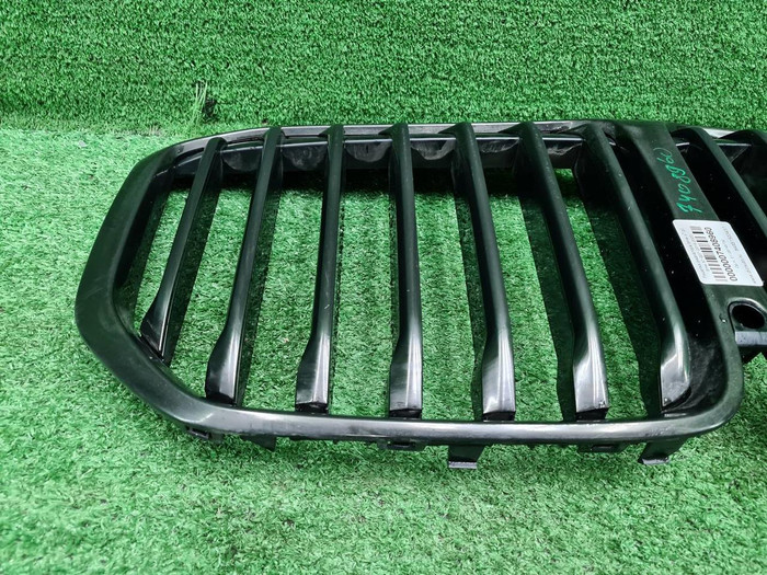 Решетка радиатора BMW X7 G07 (2019-2022)