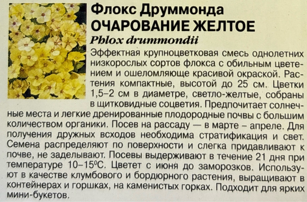 Флокс Очарование желтое друммонда, 0,05 г СМЦ-275