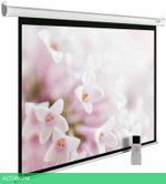 Проекционный экран Cactus MotoExpert (CS-PSME-240x240-WT)
