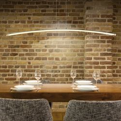 4080 Подвесной светильник HEMISFERIC