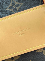 Louis Vuitton Bosphore Backpack