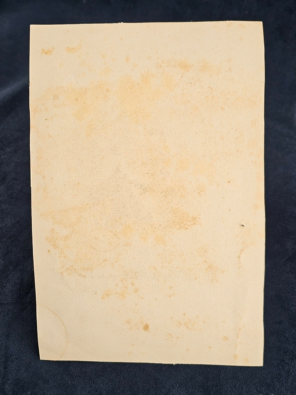 "Портрет Н.В.Гоголя и Н.А.Некрасова"