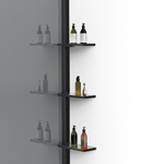 Душевая перегородка Walk-In VSW-1HWS110CGB, 1100*2000, черный, стекло тонированное