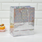 Пакет бумажный 18*23+10см с ручками Голография микс MG213-214