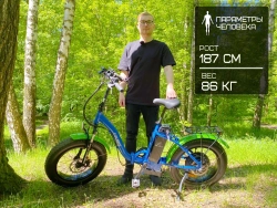 Электрофэтбайк Elbike Taiga 1 Elite (Зеленый)