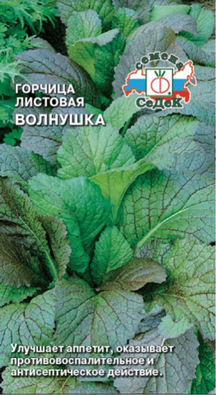 Горчица листовая Волнушка