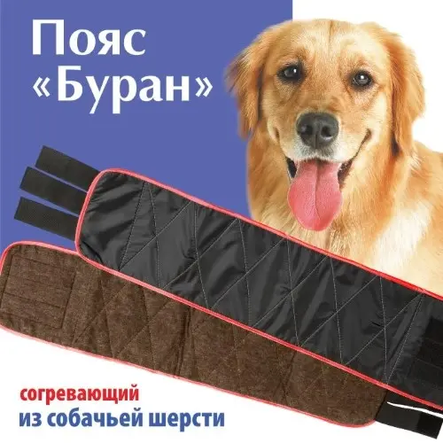 Пояс поясничный согревающий из собачьей шерсти Буран