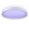 Потолочный светодиодный светильник Citilux Mega CL752450G