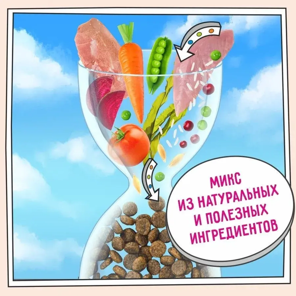 Сухой корм для кошек ZILLII (Зилли) Cat Hairball Control 10кг индейка и утка сухой для кошек, против комочков шерсти в желудке