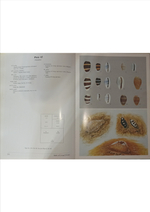 Книга cowries a guide to worldwide, Б/У