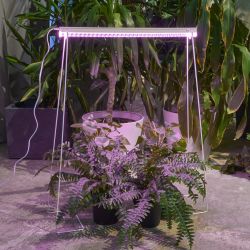 ULI-P56-18W-SPBR IP20 WHITE Светильник для растений светодиодный линейный. 573мм. выкл. на корпусе. Пластик. Спектр для рассады и досвечивания в период роста. TM ФитоЛето