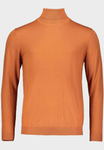 Водолазка ROY ROBSON