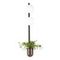 Настенный светильник Odeon Light Walli Flower 4681/2WA