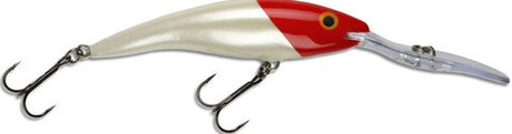 Воблер RAPALA Deep Tail Dancer TDD09 / 9 см, 13 г, цвет RH