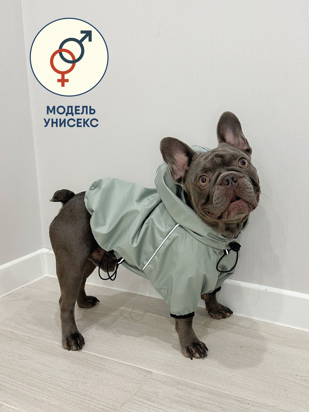 Универсальная куртка дождевик для собак Монморанси, цвет олива, размер L