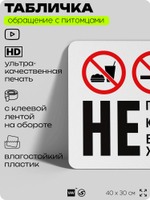 Табличка "Не приносить еду, не курить, не брать с собой животных" на дверь и забор, для двора, дома, подъезда, 40х30 см, Silver Plane x Айдентика Технолоджи