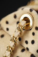 Chanel 25 Mini Handbag