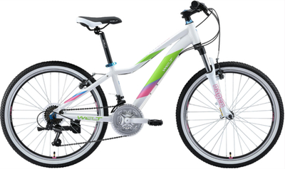 Велосипед Welt Edelweiss 24 2020 Matt White/Green (US:one size)