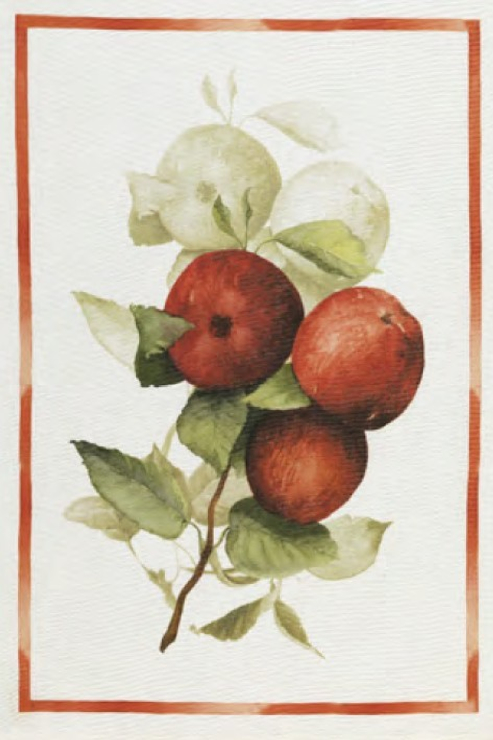 Полотенце кухонное 50x70 Tessitura Toscana Telerie Calvados Mele Италия