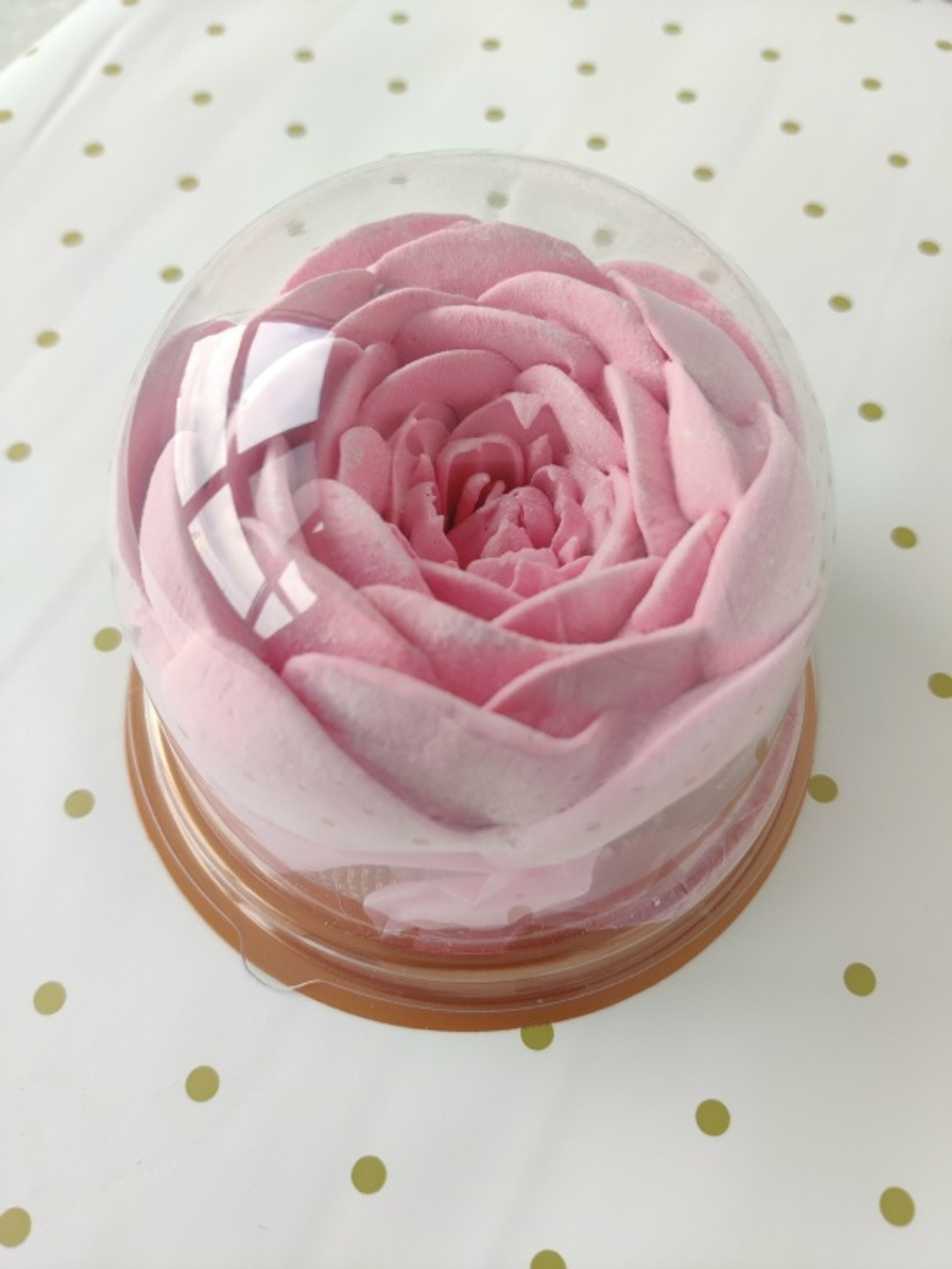 Купол "Пион"