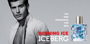 Iceberg Burning Ice