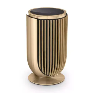 Bang & Olufsen Beolab 8 Gold Tone/Oak, TS