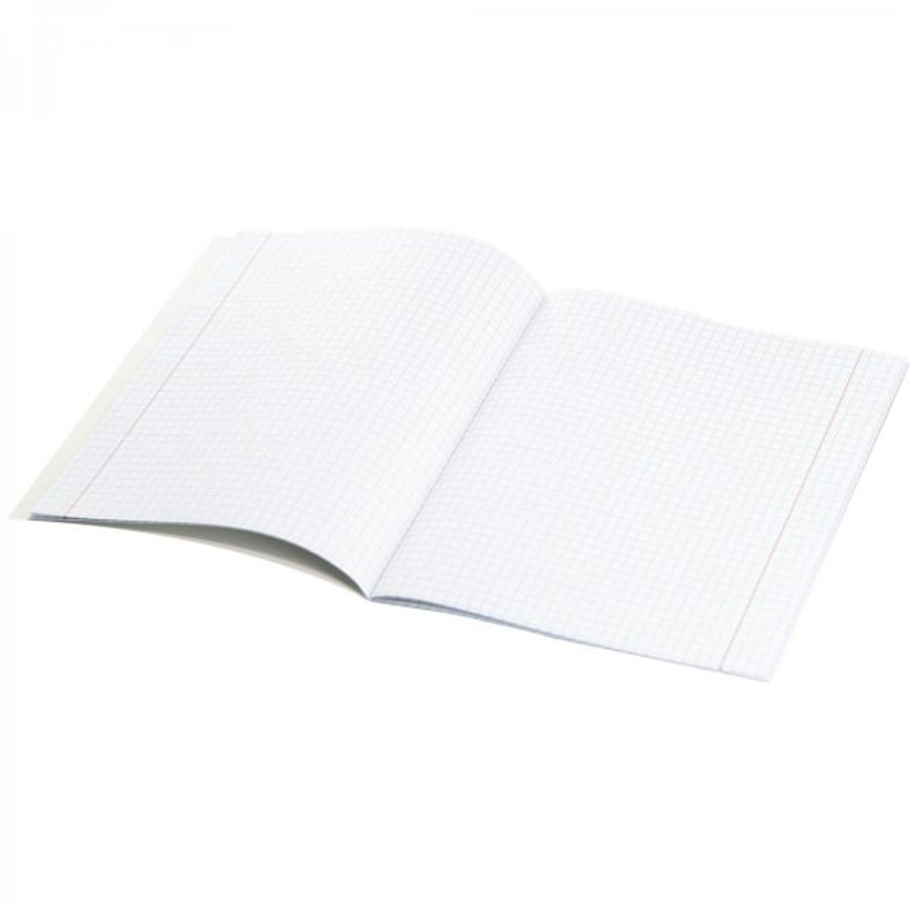 Тетрадь предметная "Физика" А5 48л., клетка, со справочным материалом, скрепка, мелованный картон(стандарт), блок офсет, Alingar "Город контрастов"