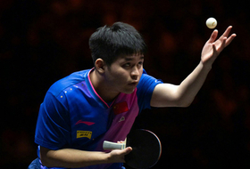 Golden Viscaria FL (Рыбья чешуя)