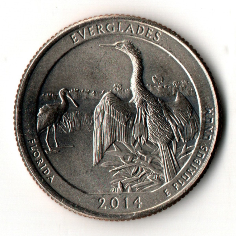 25 центов 25-й парк 2014 США Эверглейдс 2014 год