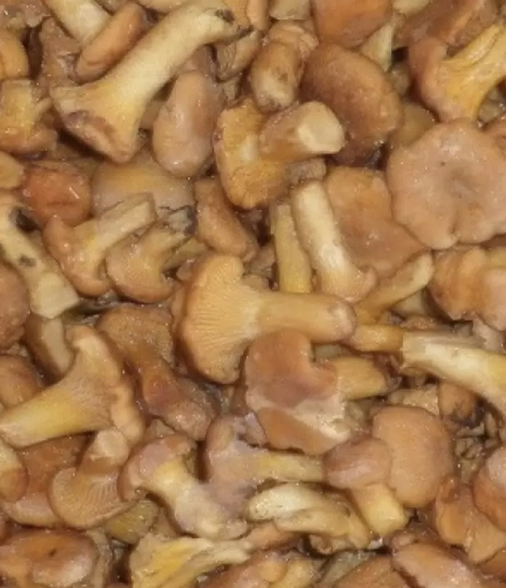 Лисички бланшированные, 1кг