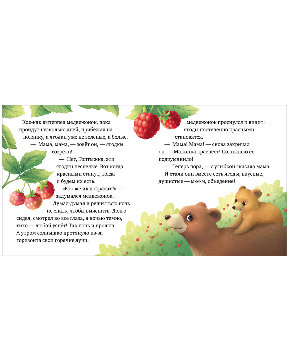 Любознательный малыш. Лесные малыши