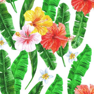 Банановая пальма и тропические цветы