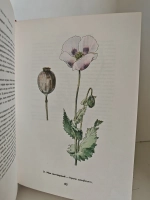 Атлас лекарственных растений