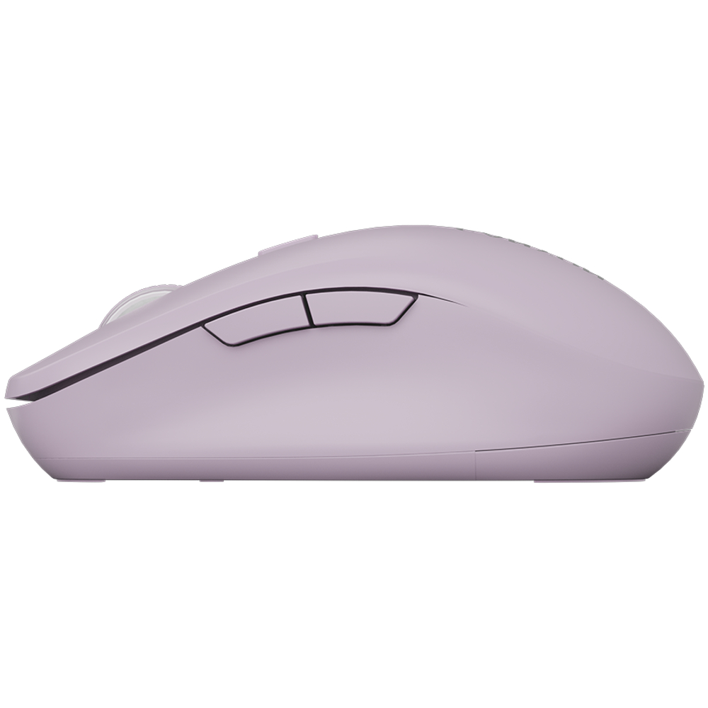CANYON mouse MW-12 Dual band Wireless Pink