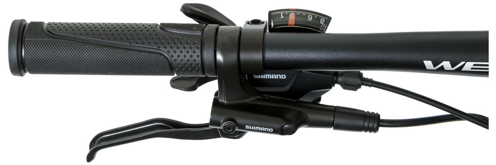 Горный велосипед Welt Raven 2.1 HD 29 (2024)