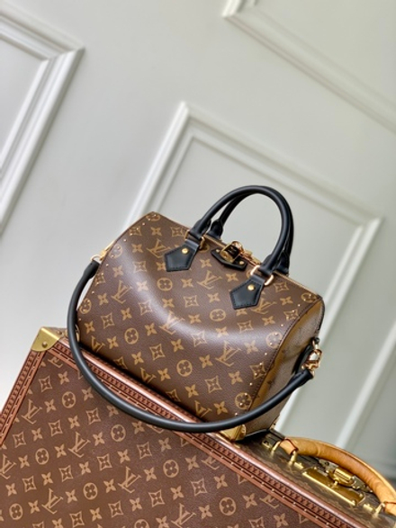 Louis Vuitton Speedy Trunk 25