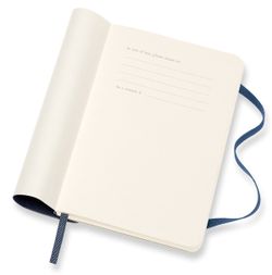 Еженедельник Moleskine Soft мягкая обложка (DSB2012WN2)