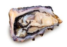 Французские устрицы Люмьер, шт Французские устрицы Люмьер, шт