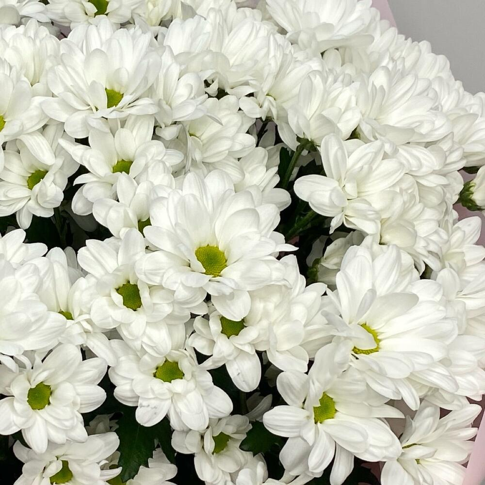 Облако ромашек 15 шт