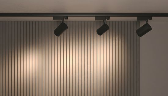 Трековый светильник Technical TR029-3-30W3K-B