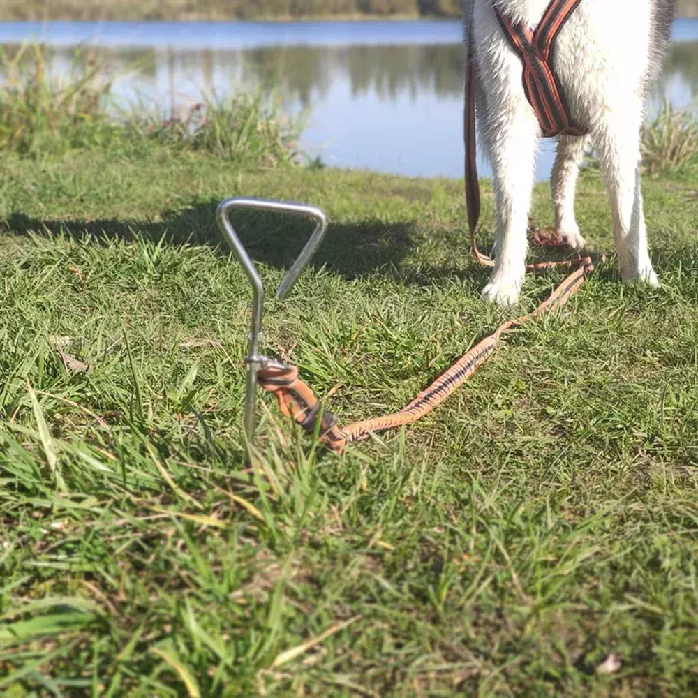Колышек для привязи собаки винтовой