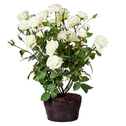 Букет роз искусственный Silk-Ka 95419