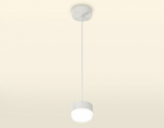 Подвесной светильник Ambrella Light XP XP8110025