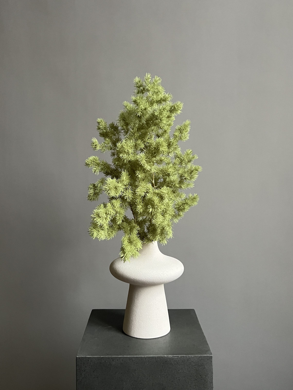 Аспарагус стабилизированный салатовый